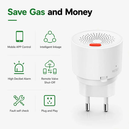 HomeShield Smart Gas