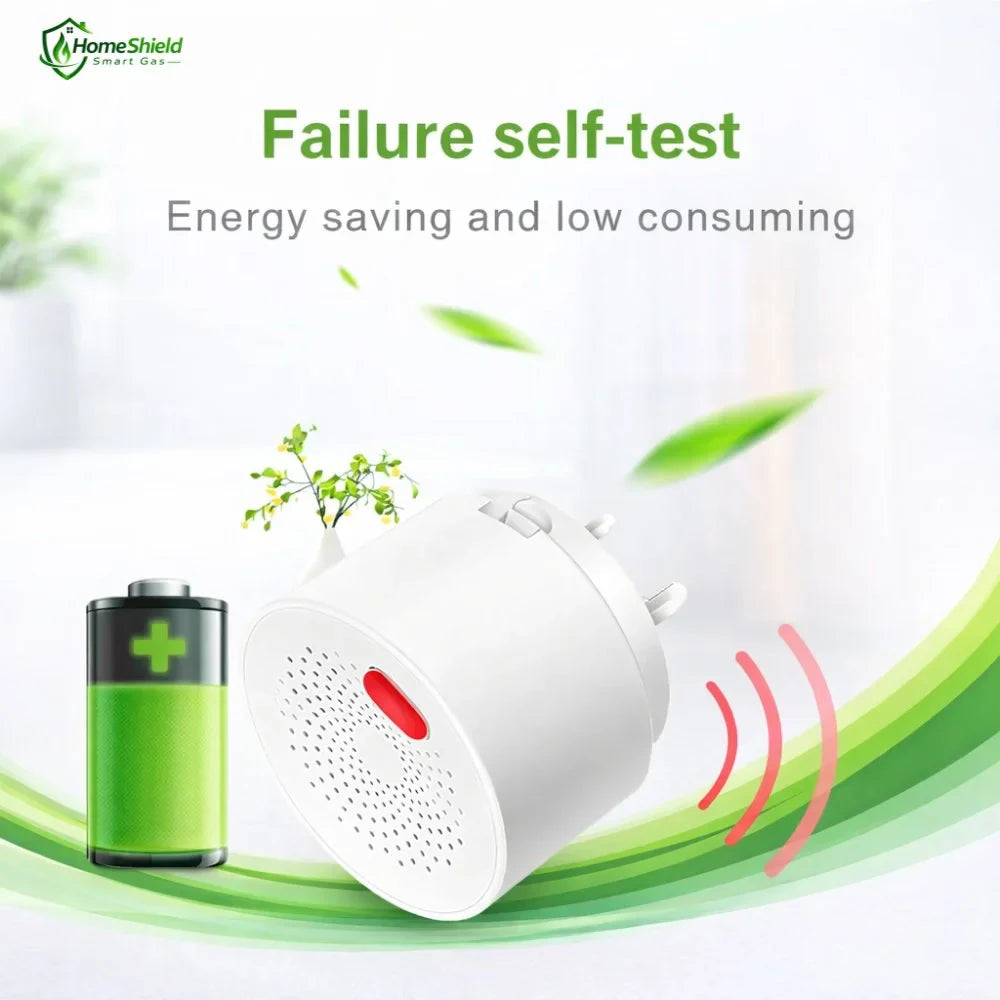 HomeShield Smart Gas
